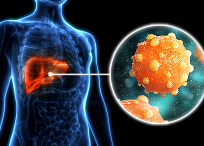 Hepatitis B & C